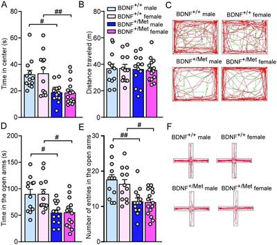 Diminished activity-dependent BDNF signaling differentially causes autism-like behavioral deficits in male and female mice